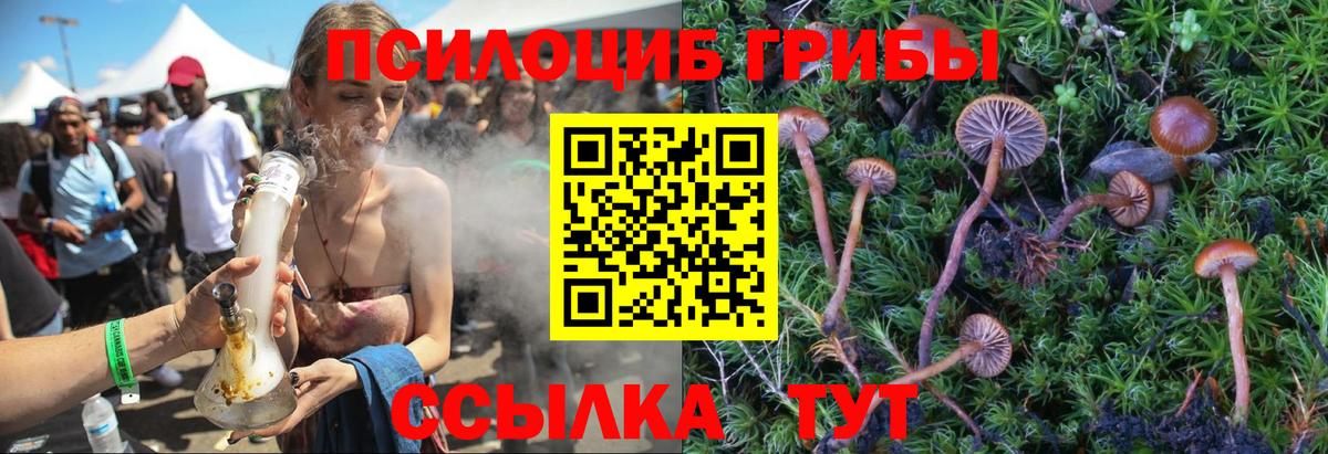 Батайск  Галлюциногенные грибы Psilocybine cubensis  купить закладку  Псилоцибиновые грибы мицелий  Вход с VPN 